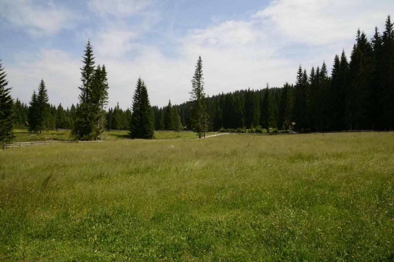 Villa Pocitniska Hisa Jurcek Pokljuka à Goreljek Extérieur photo