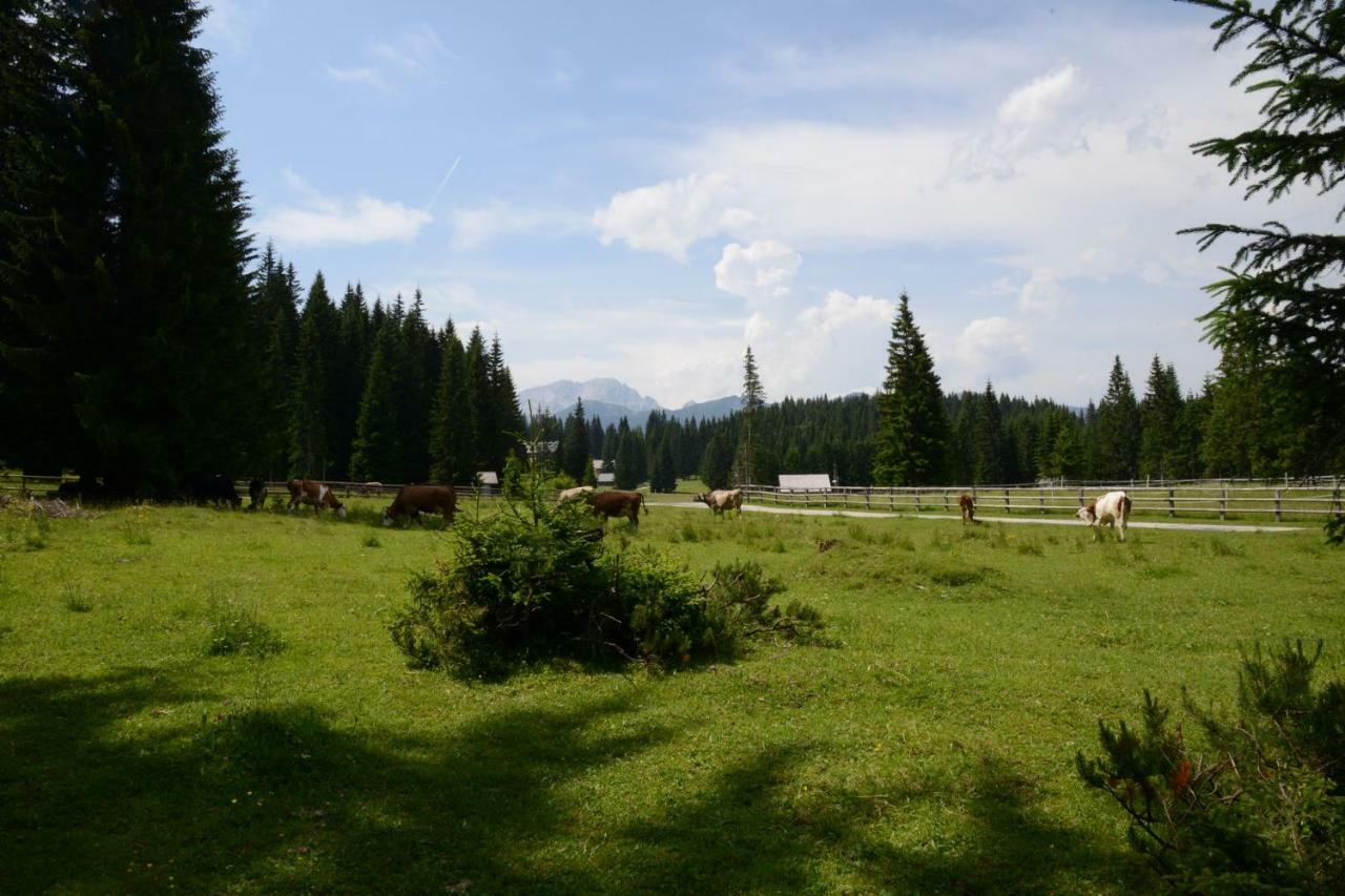 Villa Pocitniska Hisa Jurcek Pokljuka à Goreljek Extérieur photo